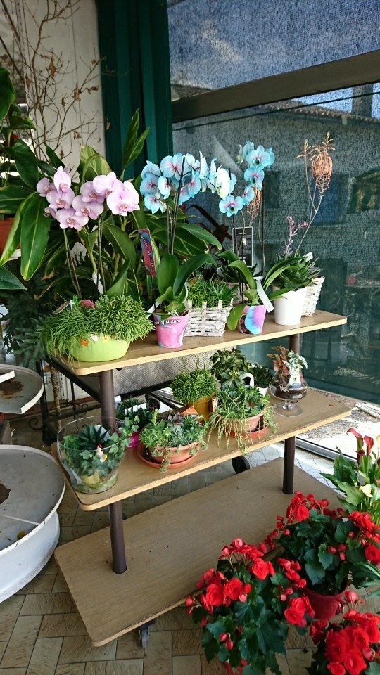 Boutique de fleuriste à RoumazièresLoubert EPIFLOR